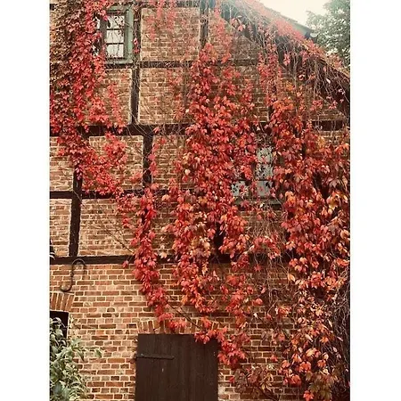 2 Bedroom Prázdninový dům Lutgenade